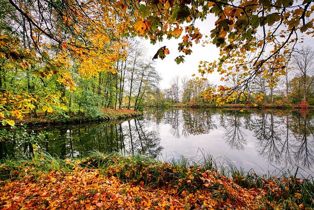 Jessica Gomez tweet media