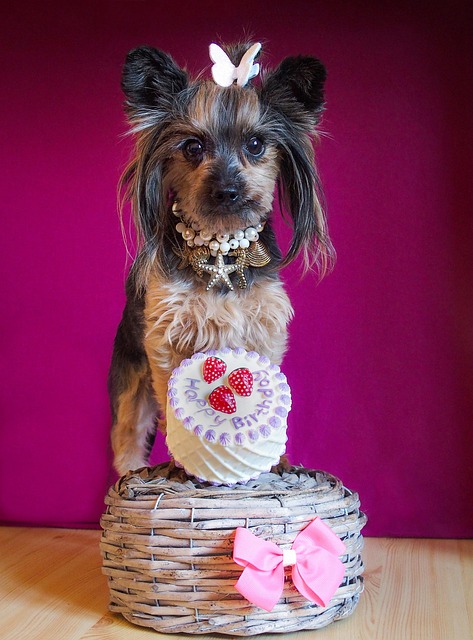 Rick Moeller tweet media