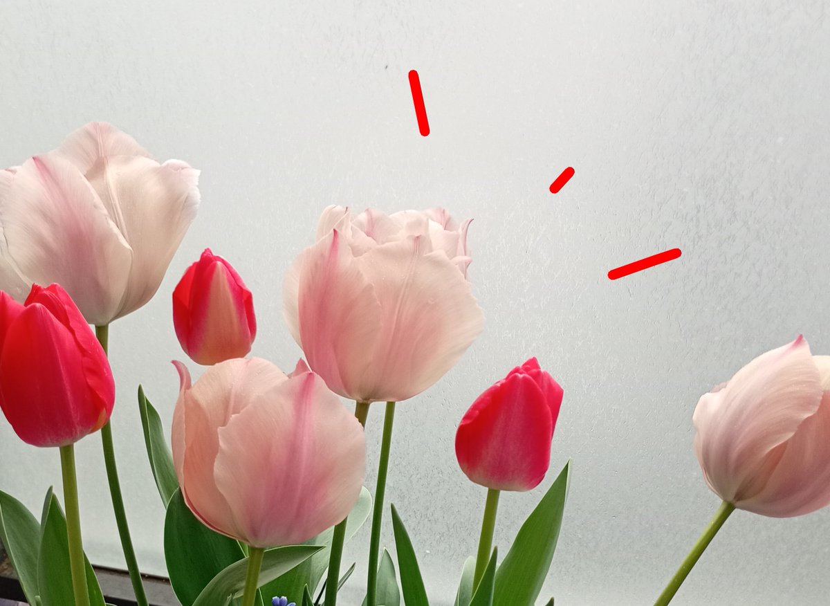 先鋭部隊“ピンク” @ロードフロンティア tweet media