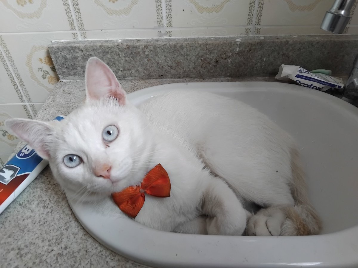 tokophobia ⚤ tweet media