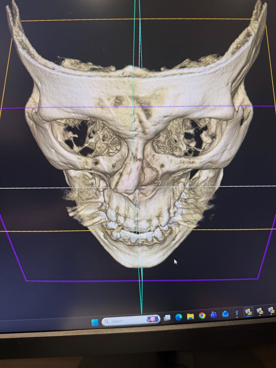 Championship Rounds tweet media