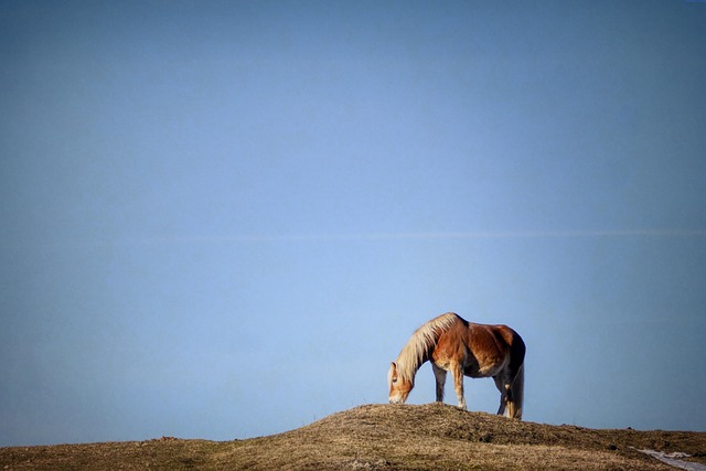 Jak Thorndike tweet media