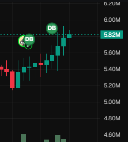 kamispacourt1977 tweet media