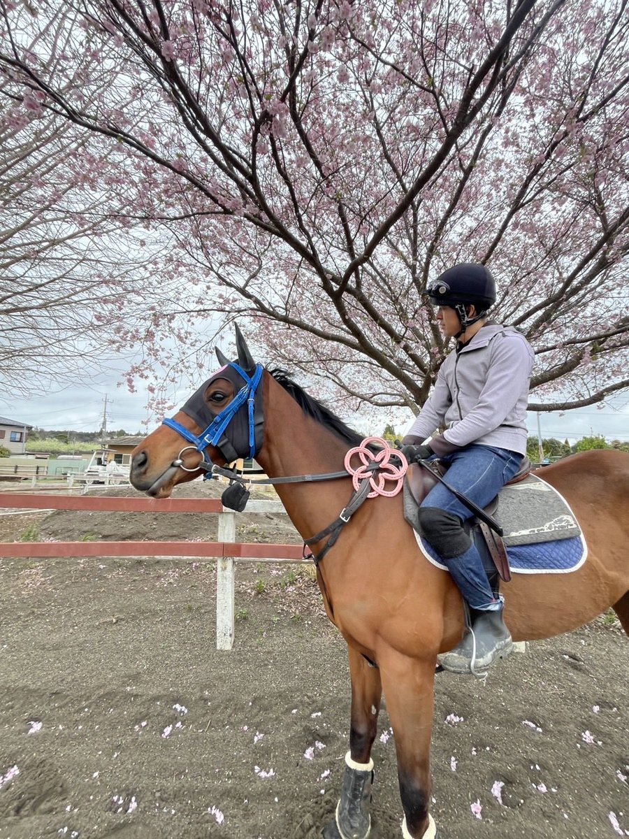 ポウナム(アオラキファームあるふぁ) tweet media