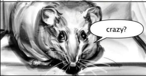 catofdoom tweet media