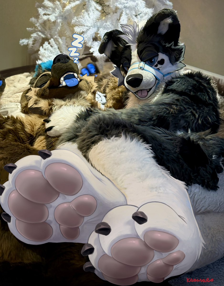 DIOR🐶 (2 PIECE) 🔜 LVFC 🎰 tweet media