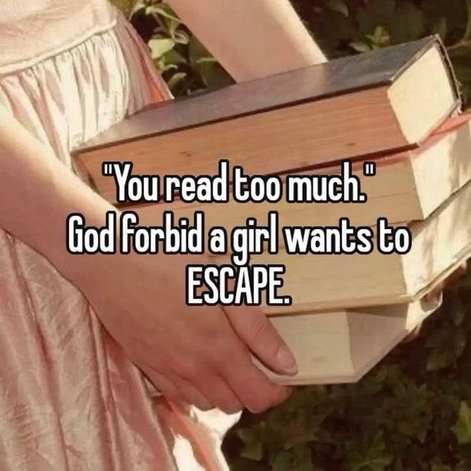 shree🪄 tweet media