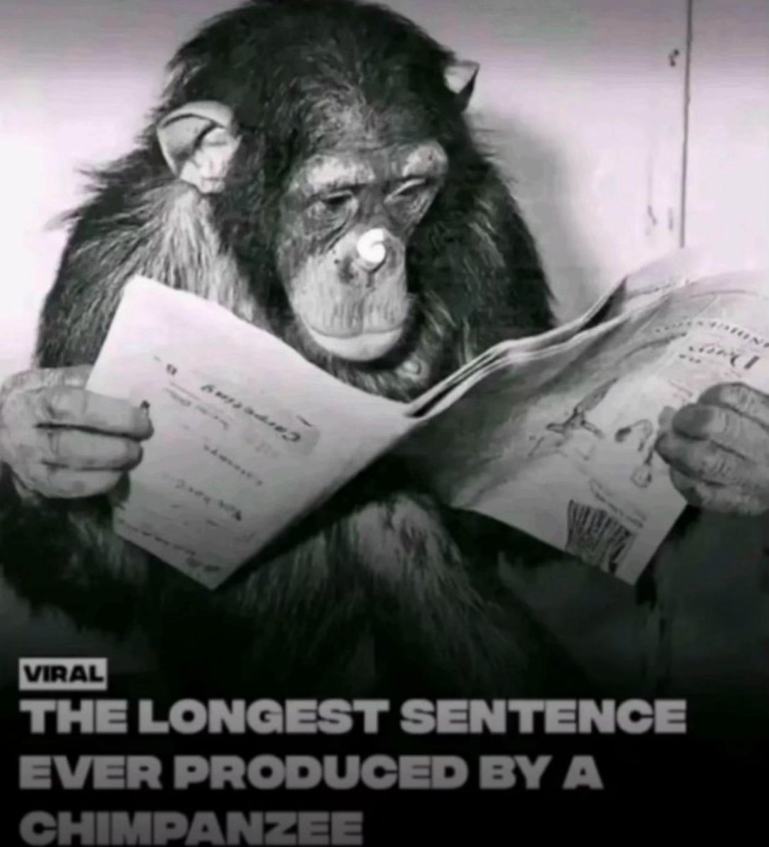 Joe mamapingas tweet media