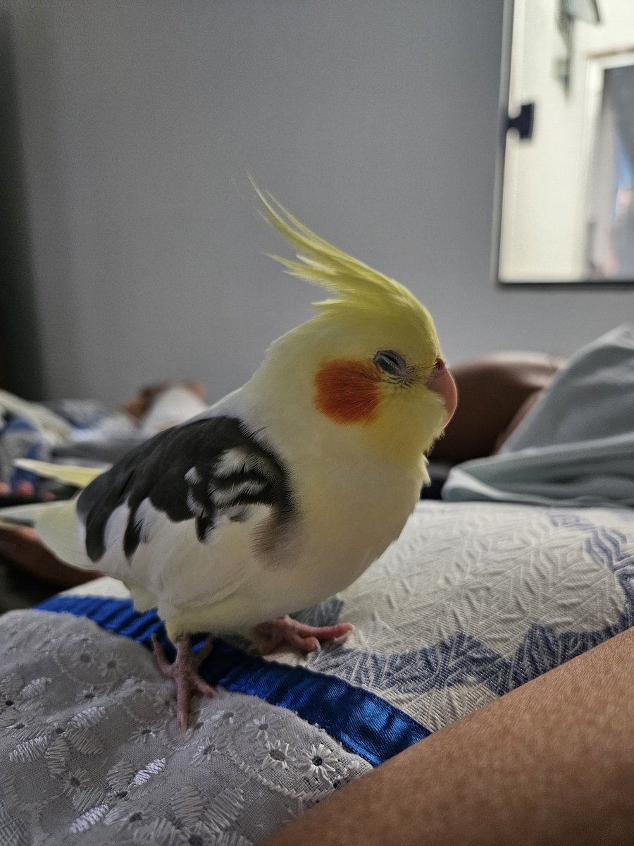 Lev🇸🇱 tweet media