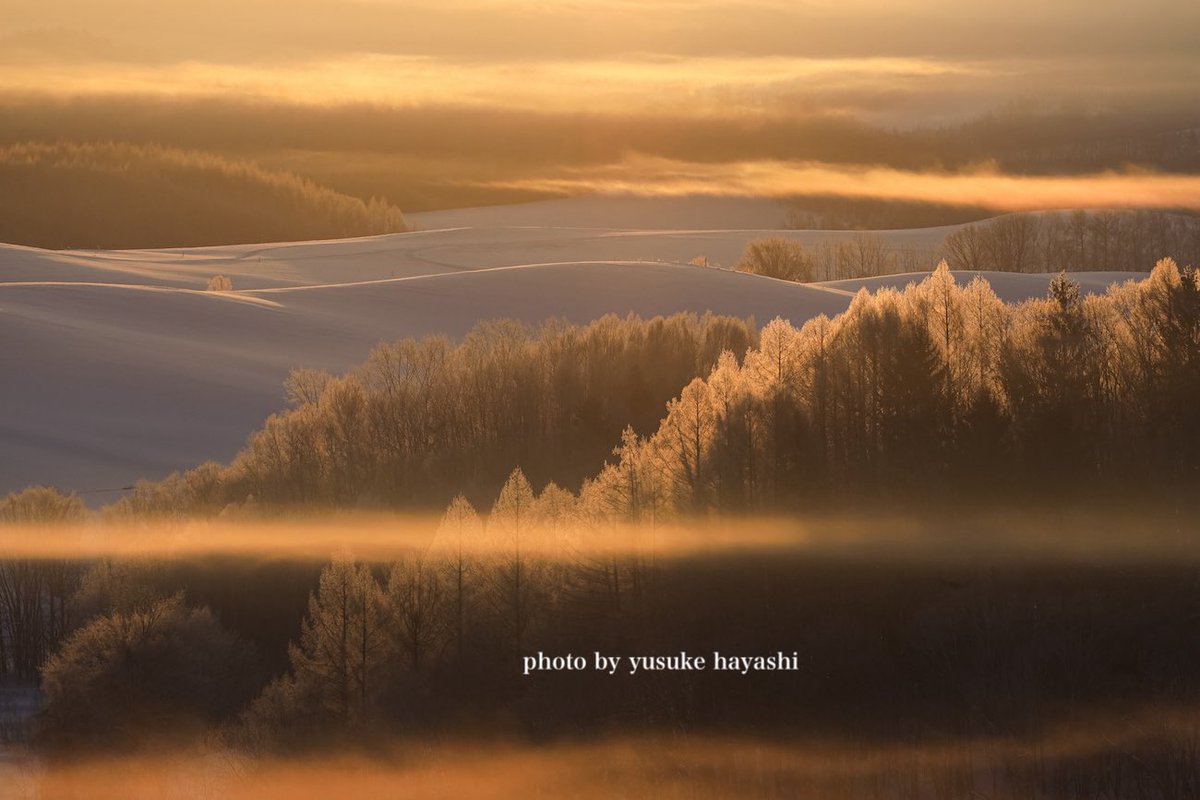 林祐介 自然写真家 / Youtube33000人 tweet media