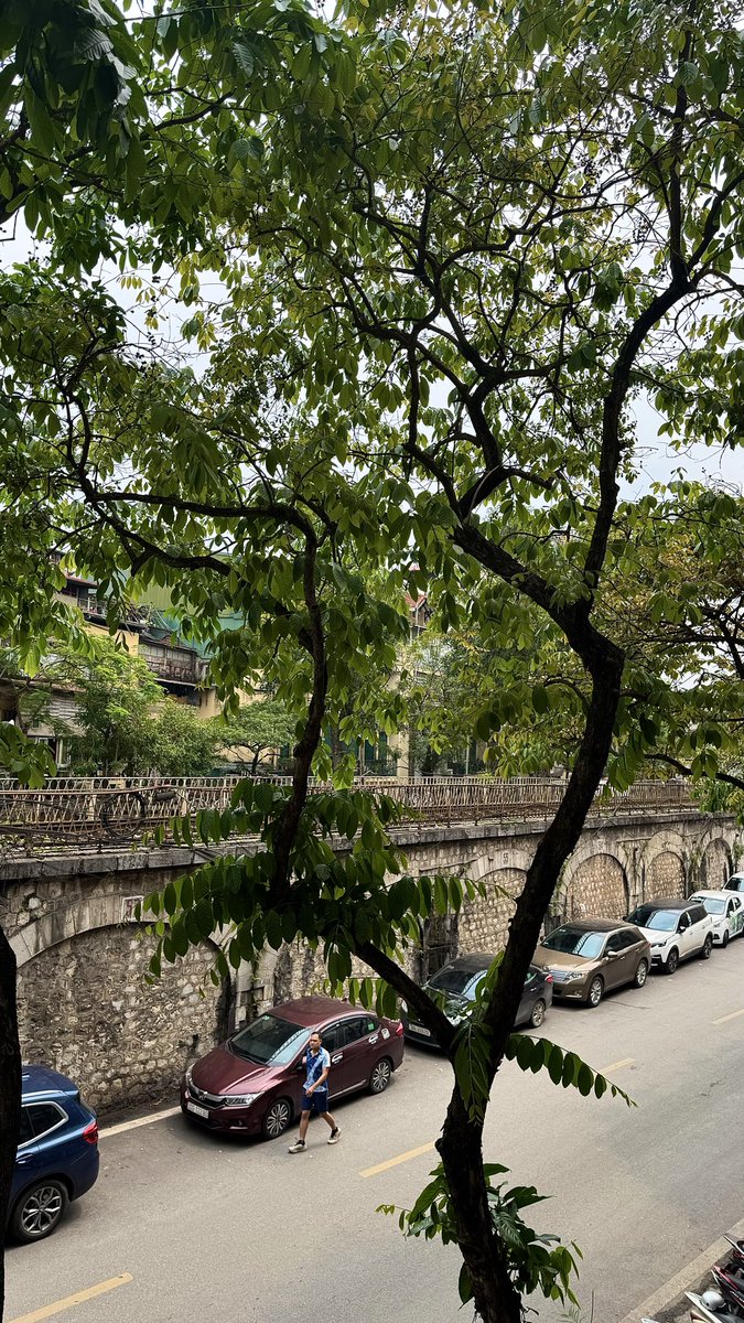 AnnaNguyen1921's tweet image. Bạn tôi ơi dậy chưa😊☀️
Cà phê sáng với tôi được không?

Hey my friend, are you up yet?Would you like to have some morning coffee with me?😍☕️

#MorningCoffee 
#MyXFriends