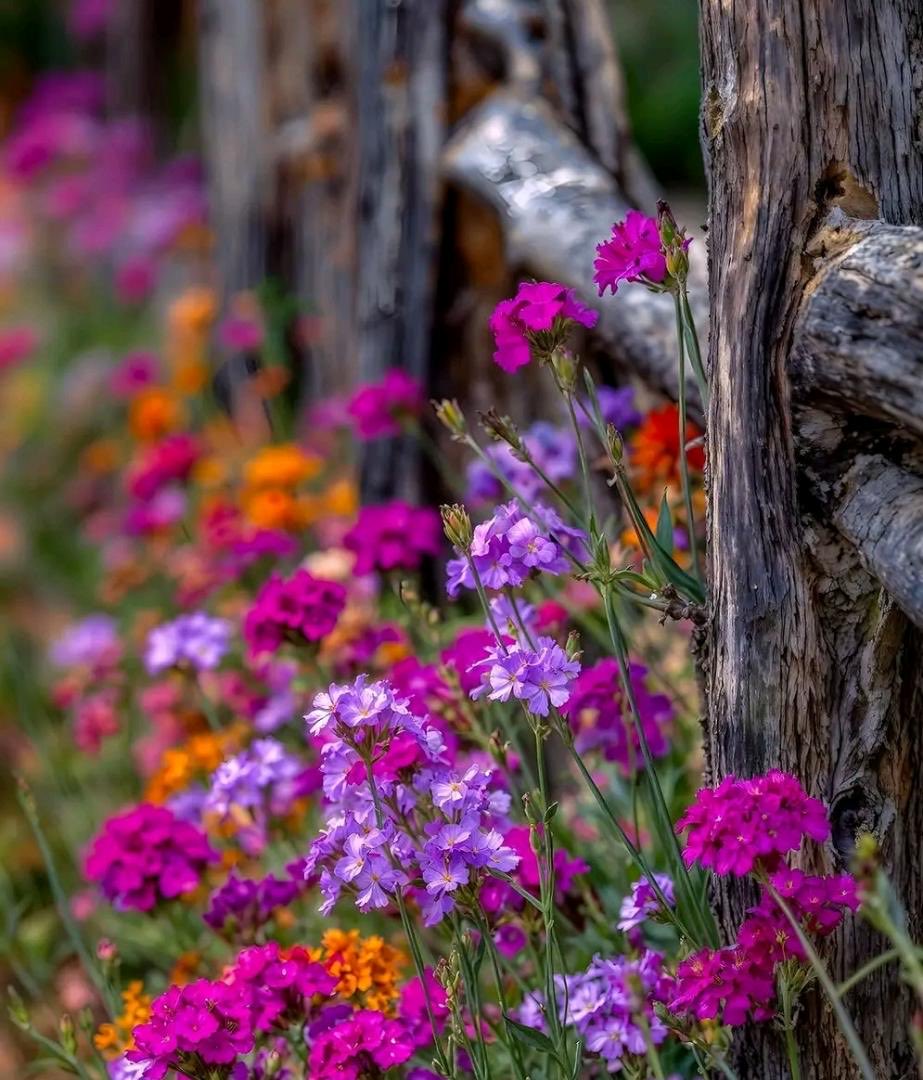 أ..أم͠ ؏ـڵې✨ tweet media