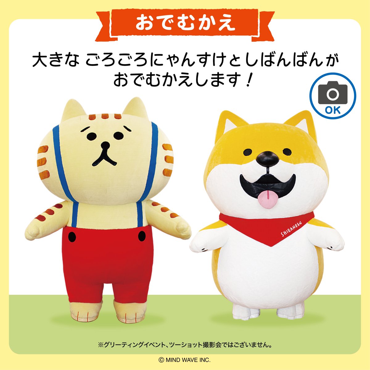 株式会社マインドウェイブ tweet media