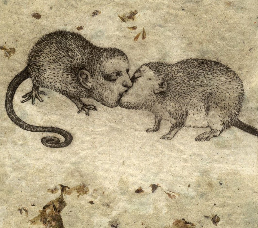 amy°-° (mcr queens 8/9) tweet media