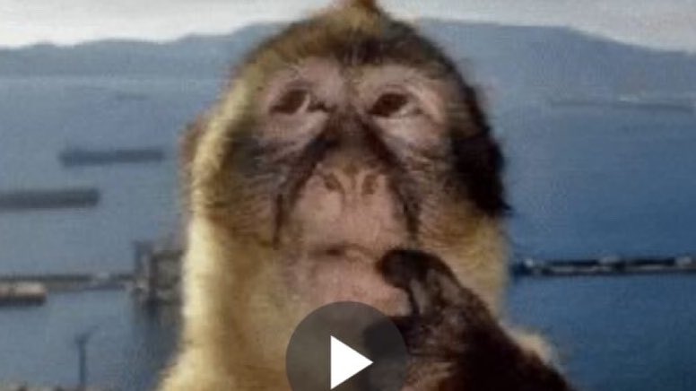 luiza paula inacio lula da silva tweet media