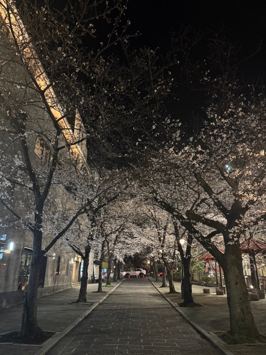 びび🦁 tweet media