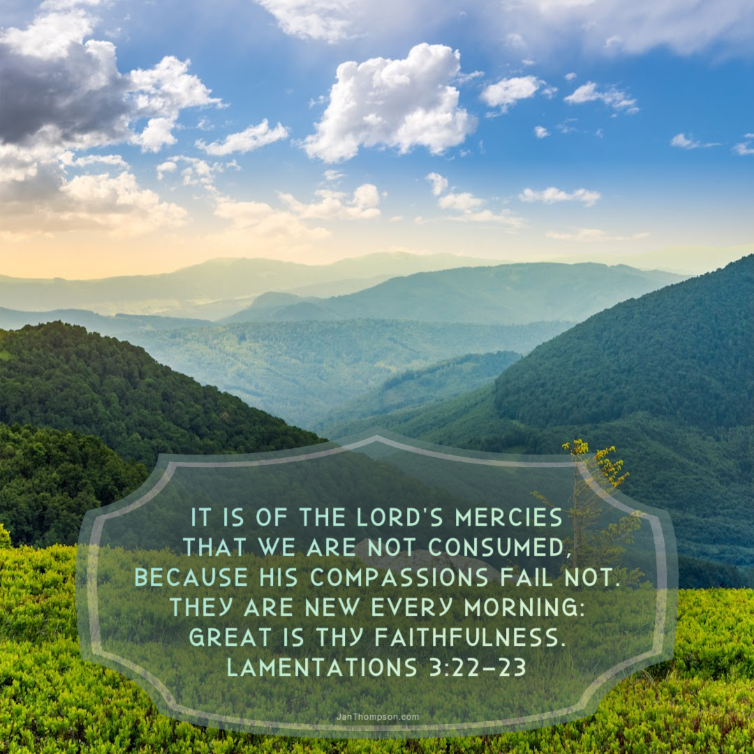 Jan Thompson tweet media