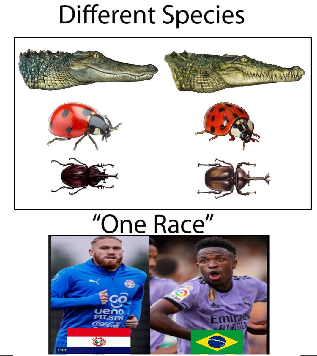 𝒊𝒍𝒆𝒙𝒑𝒂𝒓𝒂𝒈𝒖𝒂𝒓𝒊𝒆𝒏𝒔𝒊𝒔 tweet media