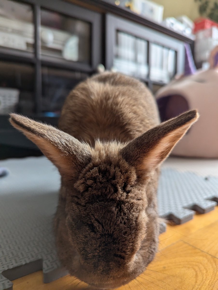 rocky.. 🍁 tweet media