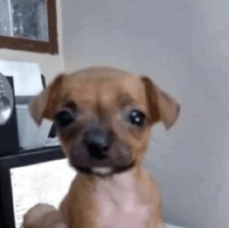 CLover ⛧ tweet media