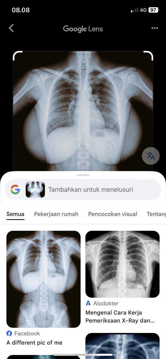 siapecoba tweet media