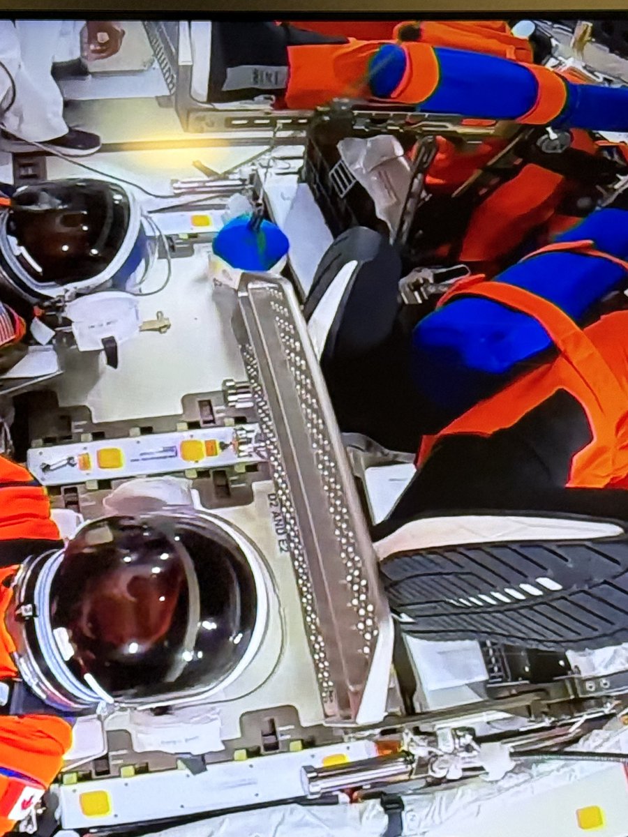 Kiro 🏢🐾🔥 tweet media