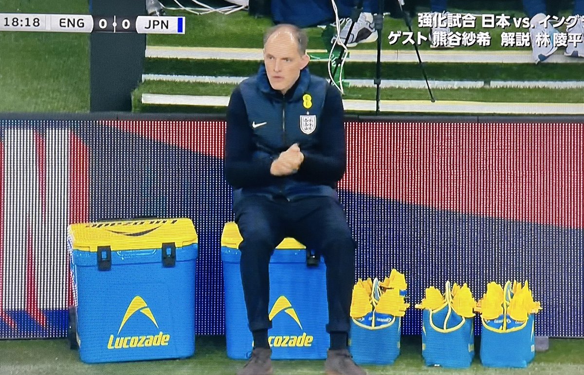 マサちゃん🚲🐸📕 tweet media