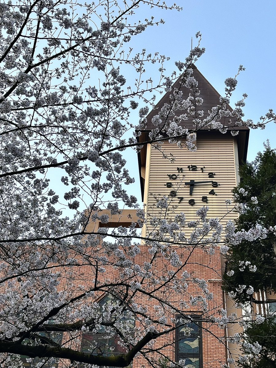 ハナチャン tweet media