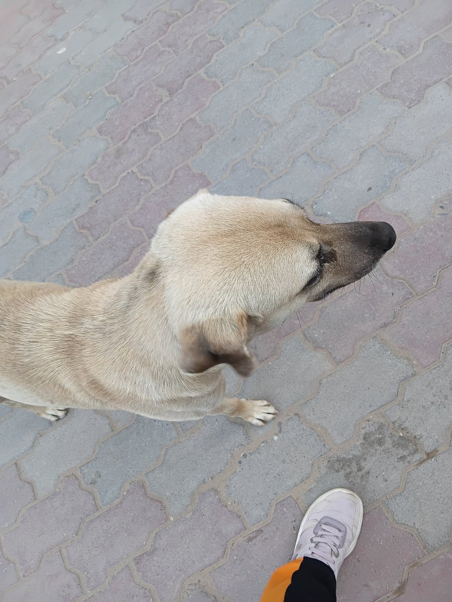 Crown👑🎊♥️🎵 tweet media