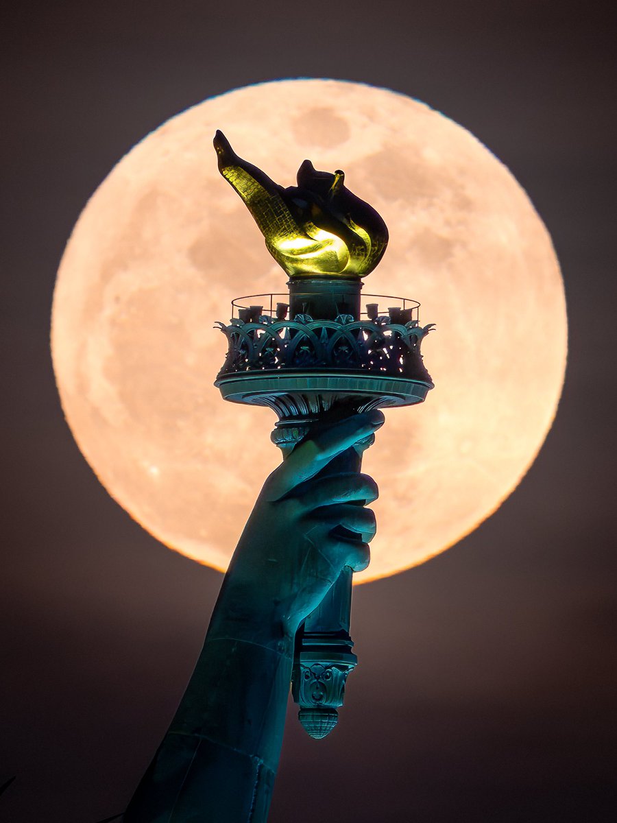 Dan Martland tweet media