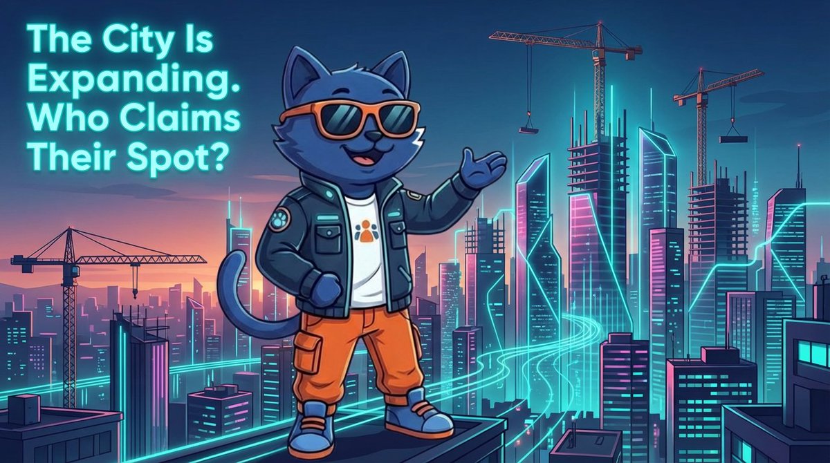 Based Town 🍊💊 tweet media