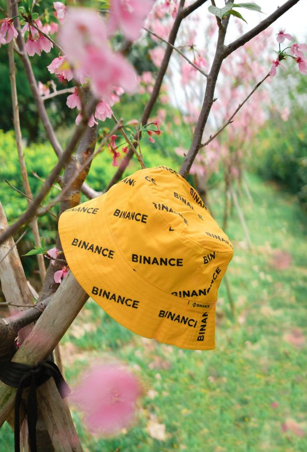 币安Binance华语 tweet media