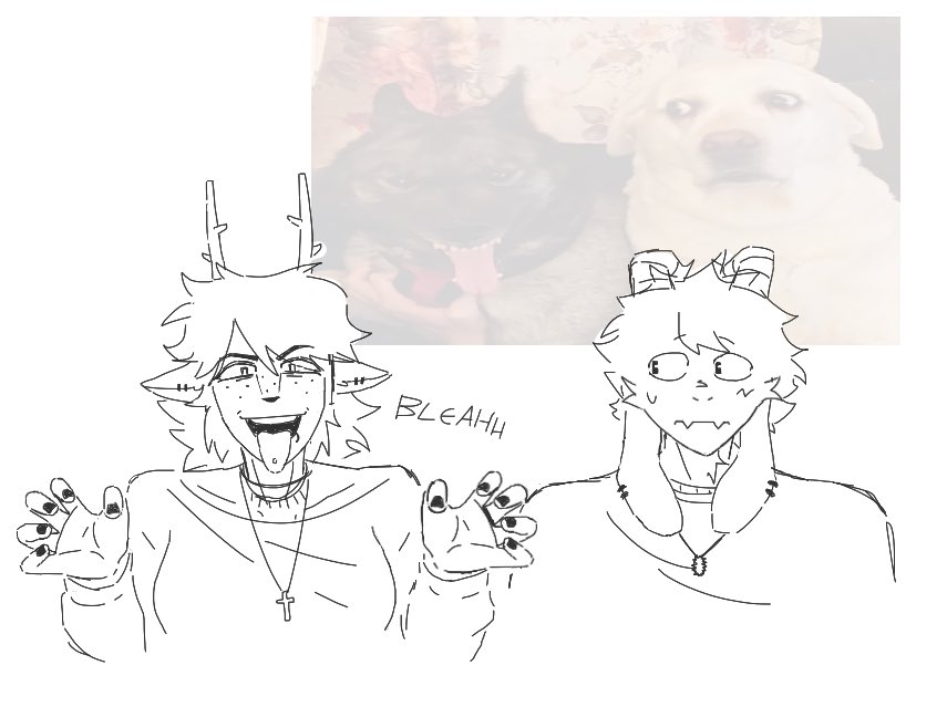 Shephard tweet media