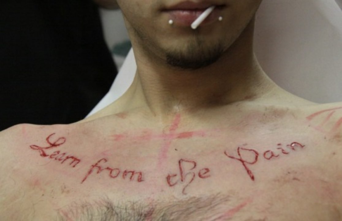 𝔰tephanie tweet media