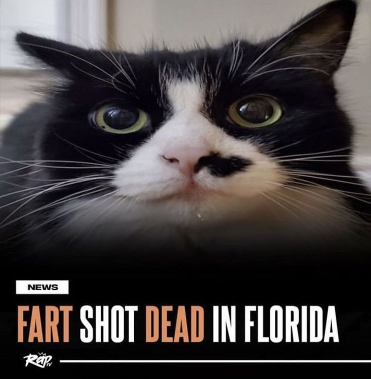 i drink soup tweet media