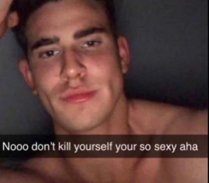 LIDL OF SHEDTWT tweet media