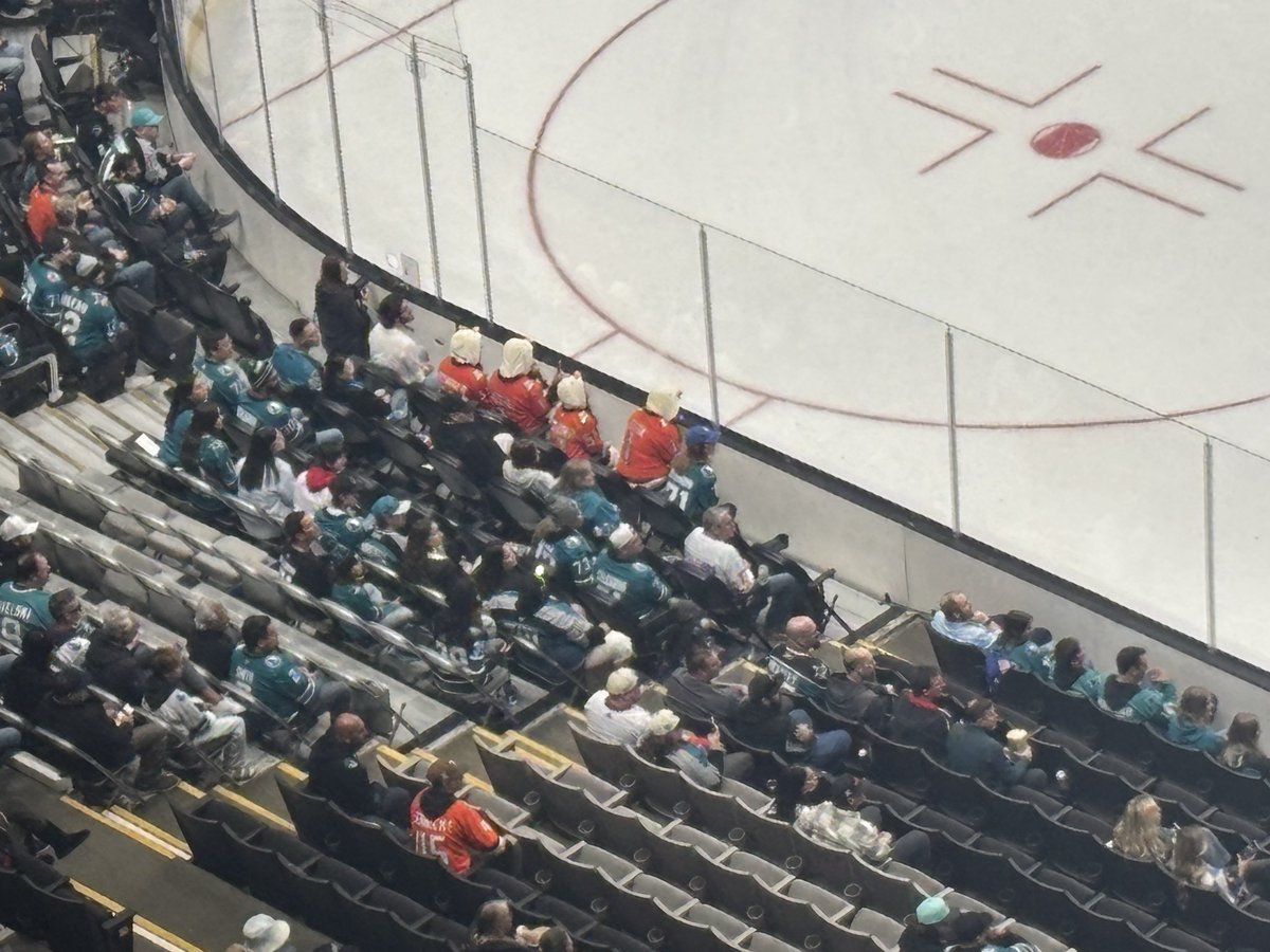 SanJosAnnie's tweet photo. Ducks in a row at the #SAPCenter 🤣 #flytogether https://t.co/dyHJxfKjRn