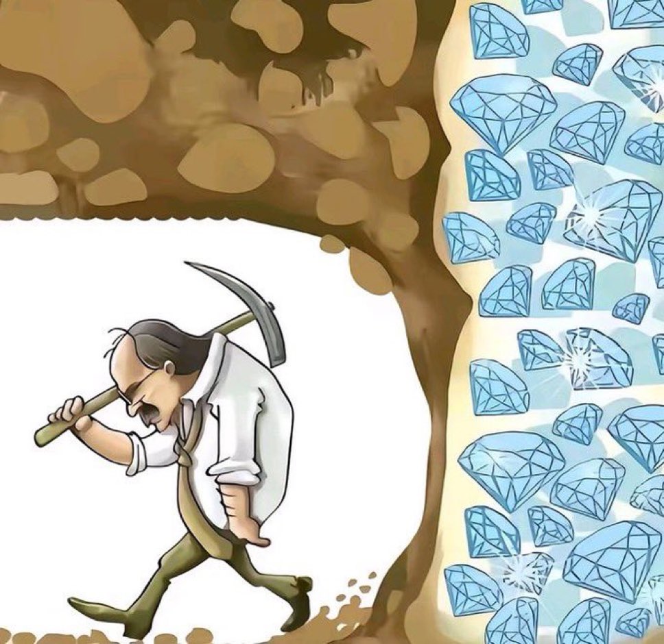 Curiosidades PL tweet media