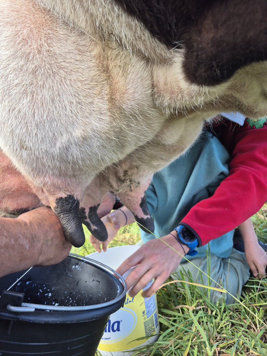 Marcos Serrano-Dueñas, etc. tweet media