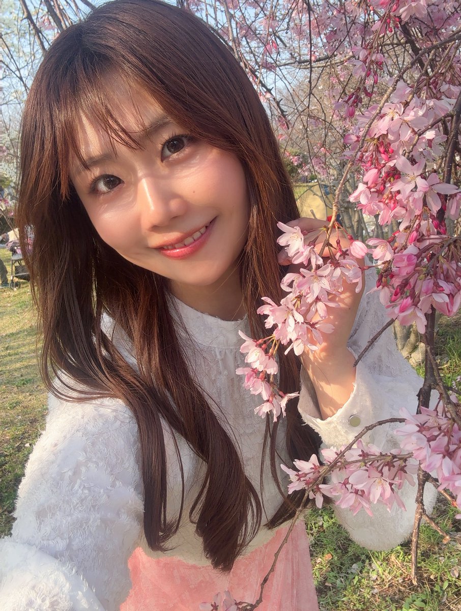 ほんごま(北郷ゆい)🦭目指せフォロワー 5000人チャレンジ❤️‍🔥挑戦中 tweet media