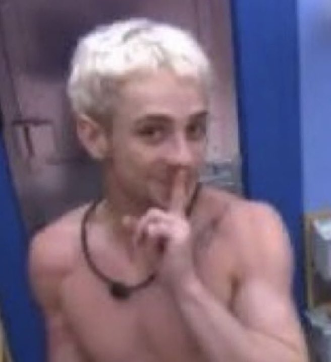 stte gatinha. tweet media