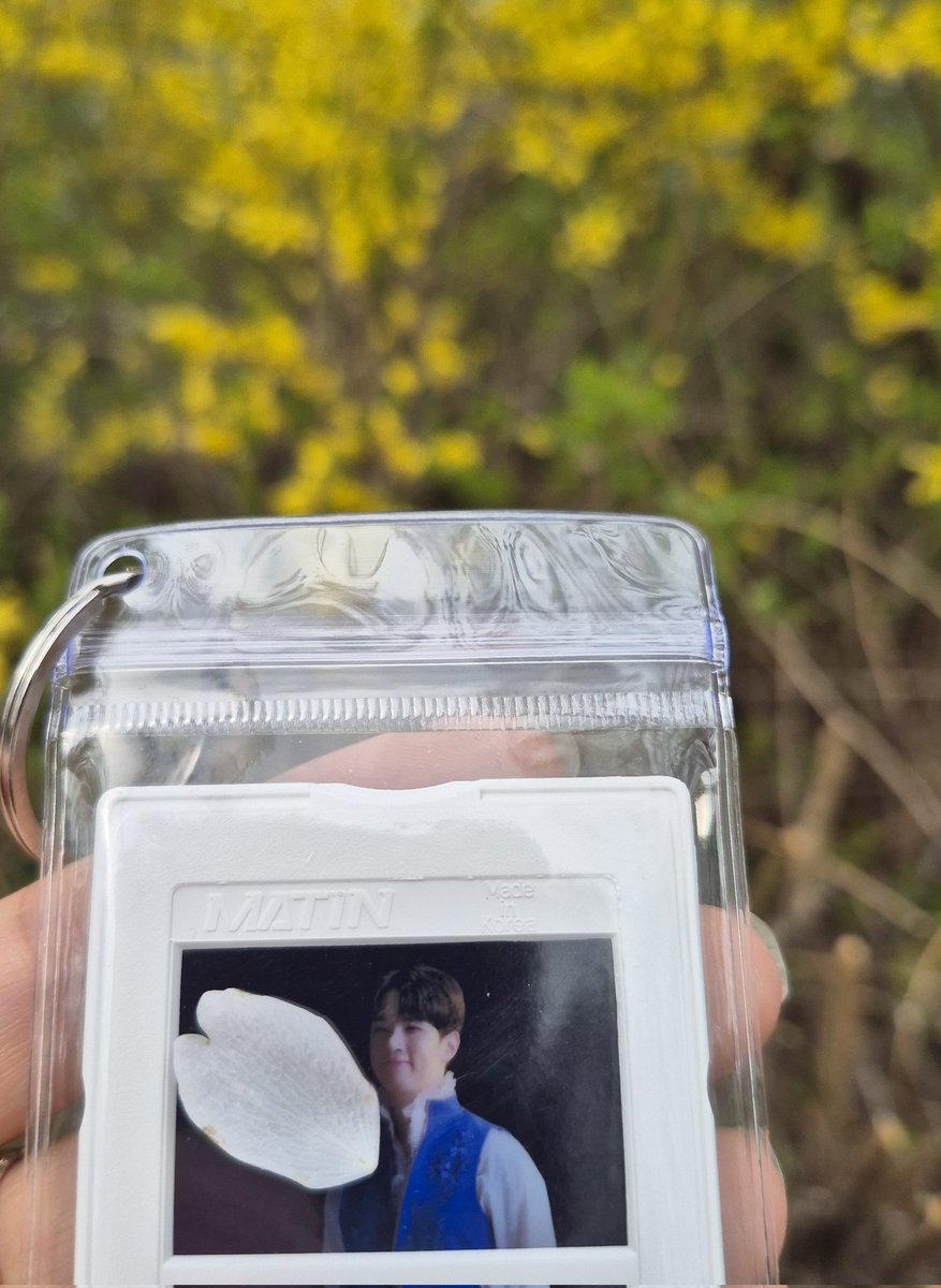 꽃바람🌼 tweet media