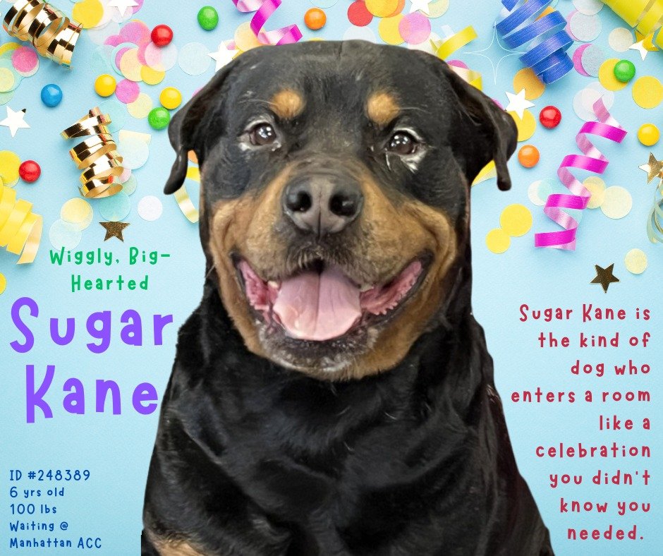 Not the Same tweet media