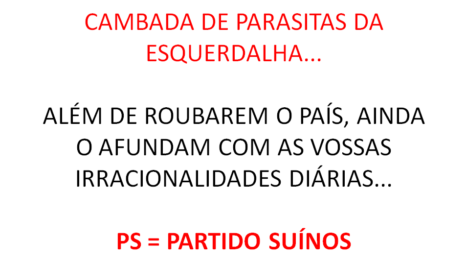Fdpv_News's tweet photo. @IsabelLMMoreira https://t.co/sSgiungrBC
