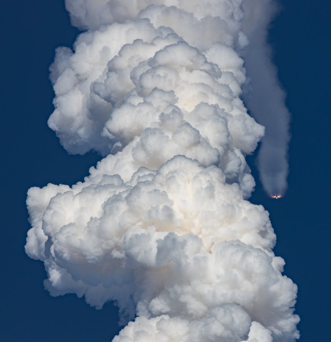 Kyle Montgomery tweet media