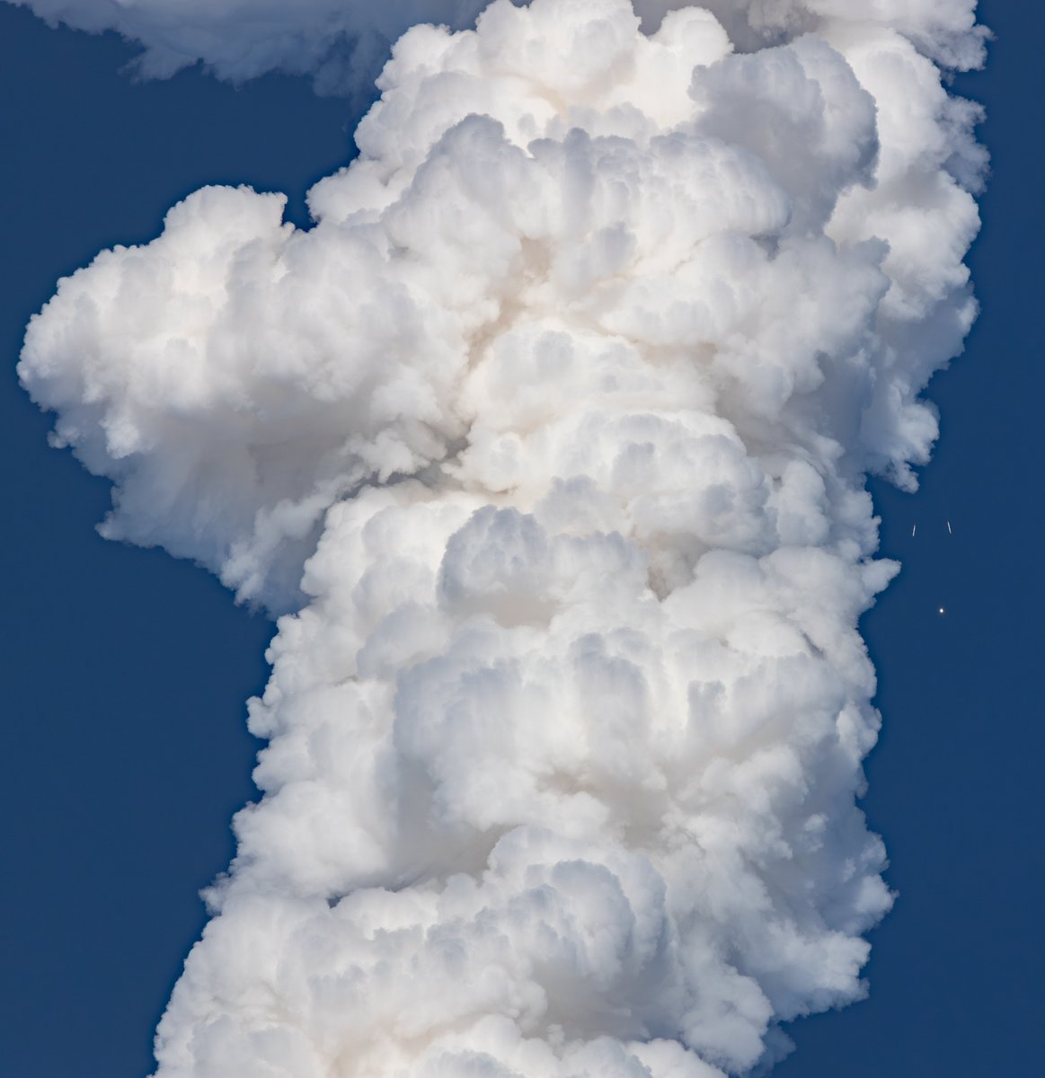 Kyle Montgomery tweet media