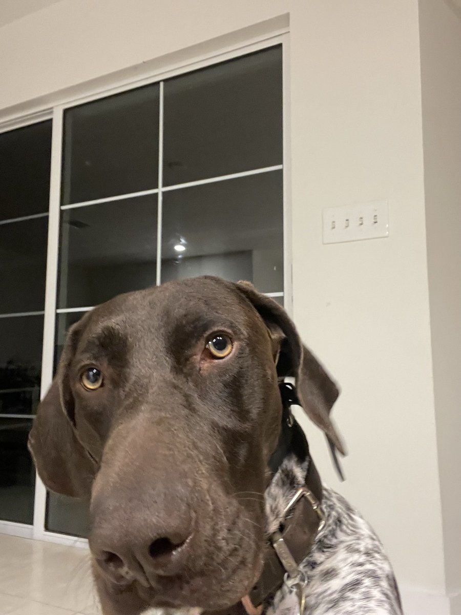 DjWhatchya tweet media