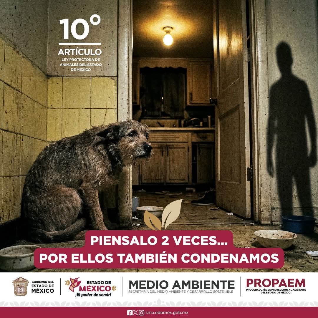 Sabueson tweet media