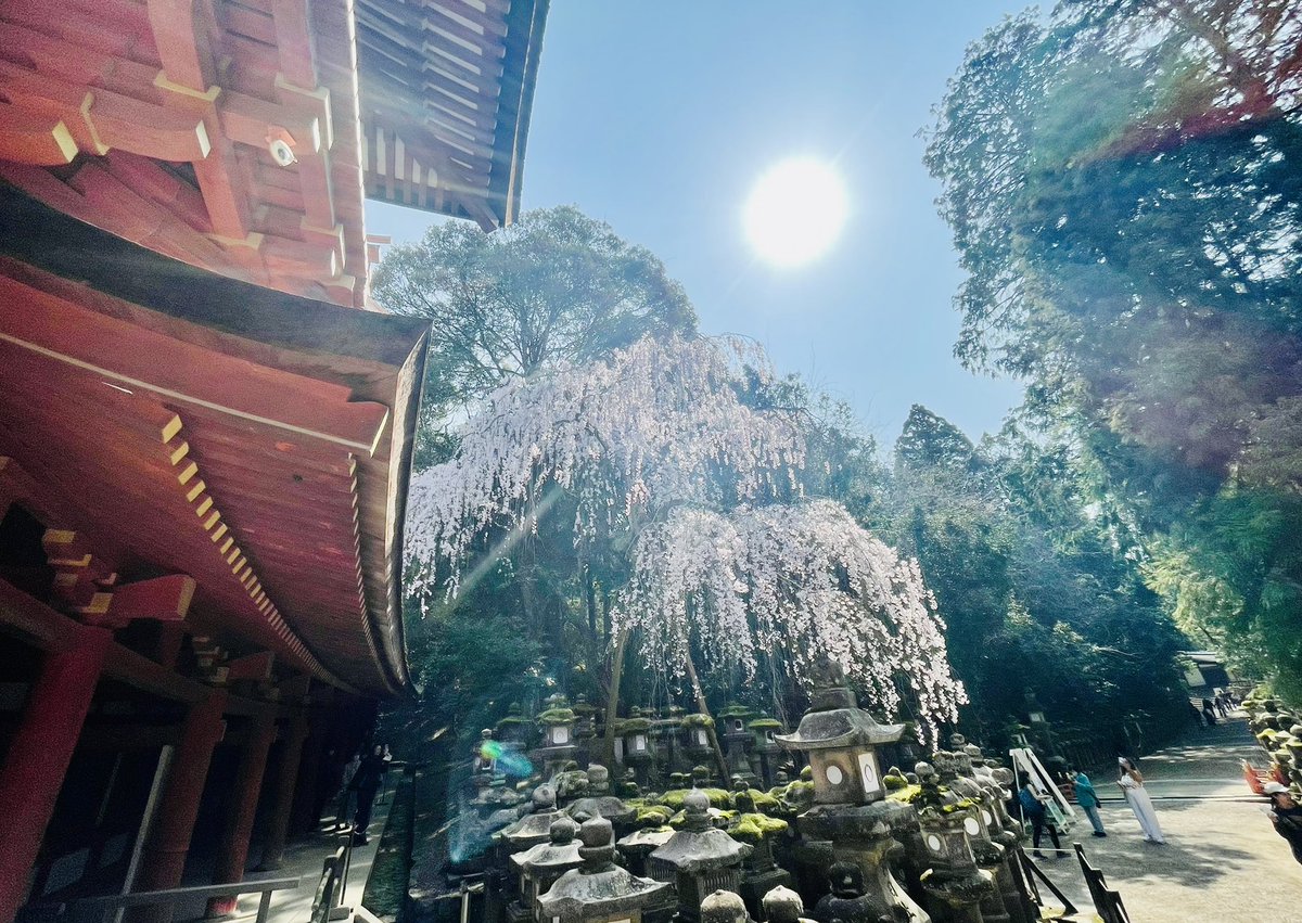 鈴木絵麻 tweet media