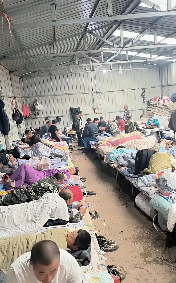 shenxiao tweet media